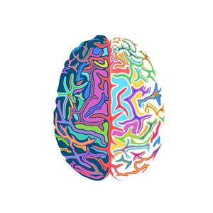 Psychedelic Brain Vinyl Decal - 13cm x 10.1cm - Psych Outlet
