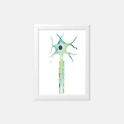 Watercolor Neuron Anatomy Wall Art - Psych Outlet