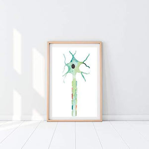 Watercolor Neuron Anatomy Wall Art - Psych Outlet