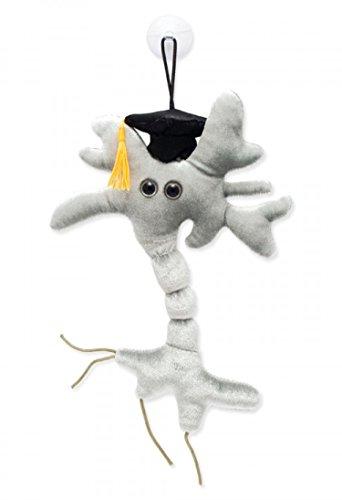 Brain Cell Science Kit - Graduation Edition - Psych Outlet