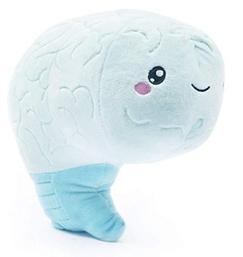Brain Plush Toy - Love on the Brain - Psych Outlet