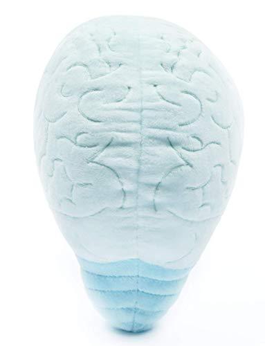 Brain Plush Toy - Love on the Brain - Psych Outlet