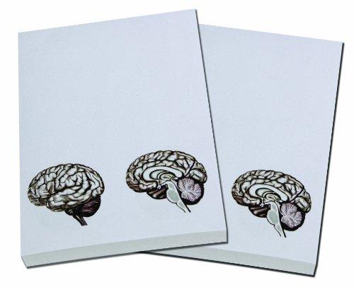 Brain Note Pad - 100 Sheets - 2pc in One Package - Psych Outlet