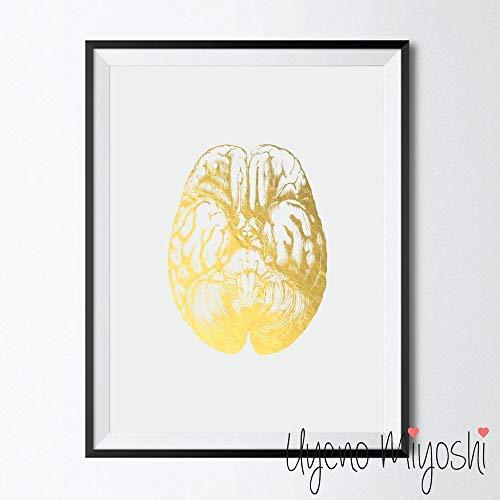 Ventral View Human Brain Gold Foil Art Print - Psych Outlet
