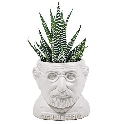 succulent outlet Sigmund Freud Bust Succulent Plant Holder Pot