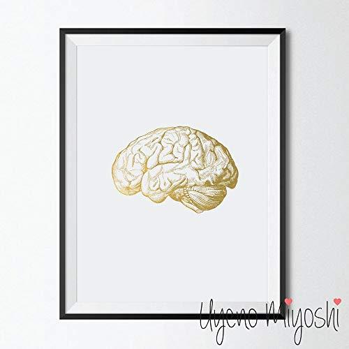 Lateral View Human Brain Gold Foil Art Print - Psych Outlet