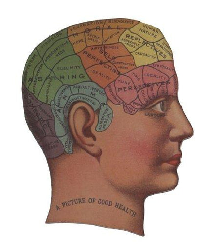 Phrenology Magnet - Psych Outlet