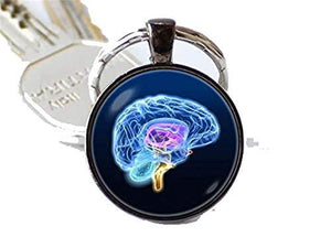 Brain Picture Key Chain - Psych Outlet