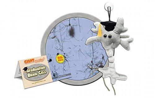 Brain Cell Science Kit - Graduation Edition - Psych Outlet