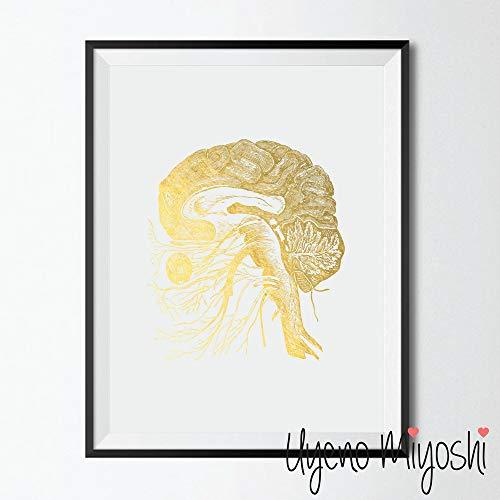 Human Brain and the Cranial Nerves Anatomy Gold Foil Art Print - Psych Outlet