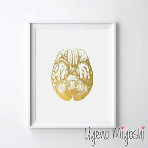 Ventral View Human Brain Gold Foil Art Print - Psych Outlet