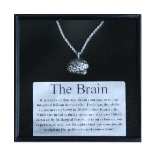 Sterling Silver Lateral View Brain Necklace & Pendant - Psych Outlet