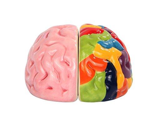 Magnetic Ceramic Salt & Pepper Shakers - Left & Right Brain - Psych Outlet