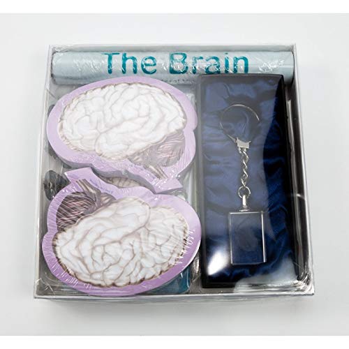 Brain (Gift Set) - Psych Outlet