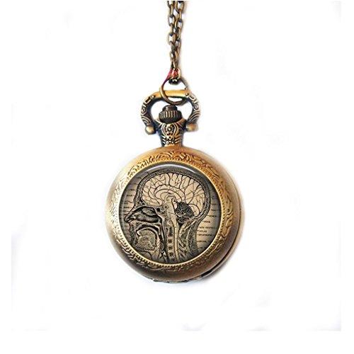 Anatomical Brain Pocket Watch Necklace - Psych Outlet