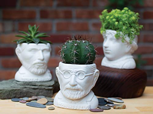 Sigmund Freud Bust Succulent Plant Holder Pot - Psych Outlet