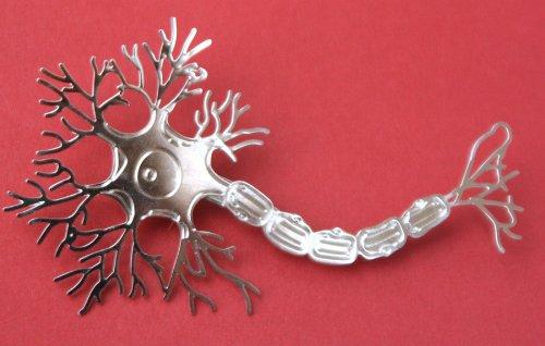 Neuron Ornament - MALSA - Psych Outlet
