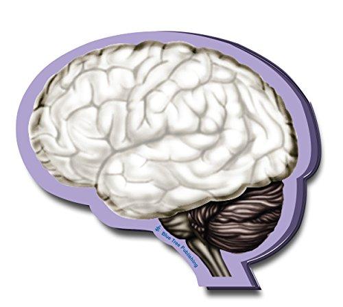 Brain Sticky Notes - 2 Pack - 100 Sheets Per Pack - Psych Outlet