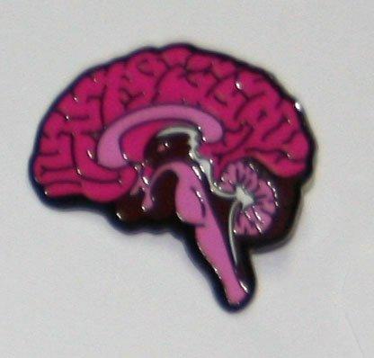 Medial View Brain Pin - Pink - Psych Outlet