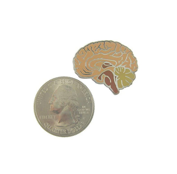 Autumn Colored Brain Enamel Lapel Pin Brain - Psych Outlet