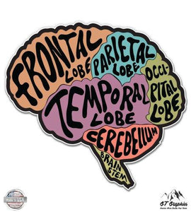 Groovy Brain - 3" Vinyl Sticker - Psych Outlet