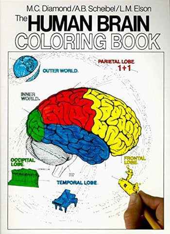 The Human Brain Coloring Book (Coloring Concepts) - Psych Outlet