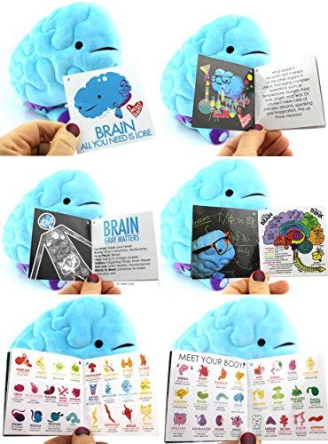 Brain Plush Toy - All You Need Is Lobe - Psych Outlet