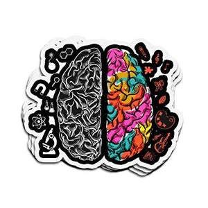 3 PCs Colorful Brain  Stickers - 4 × 3 Inch Die-Cut - Psych Outlet