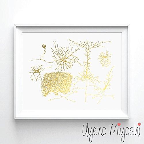 Neuroanatomy Gold Foil Art Print - Psych Outlet