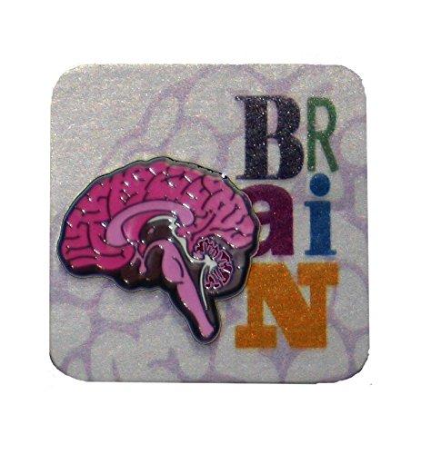 Medial View Brain Pin - Pink - Psych Outlet