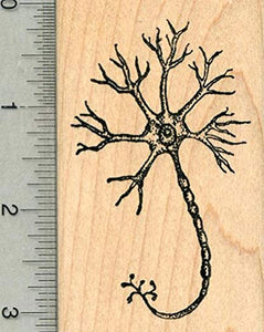 Neuron Rubber Stamp - Psych Outlet