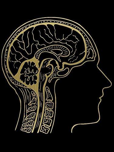 Black & Gold Brain Anatomy Wall Art - Psych Outlet