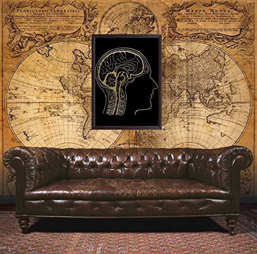 Black & Gold Brain Anatomy Wall Art - Psych Outlet