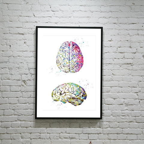 Human Brain - Wall Art Canvas - Psych Outlet