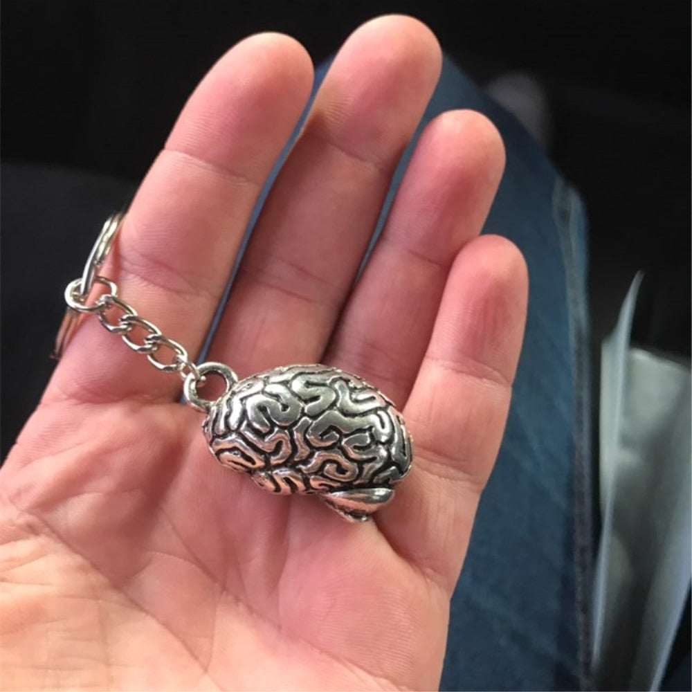 3D Anatomical Brain Keychain – Psych Outlet