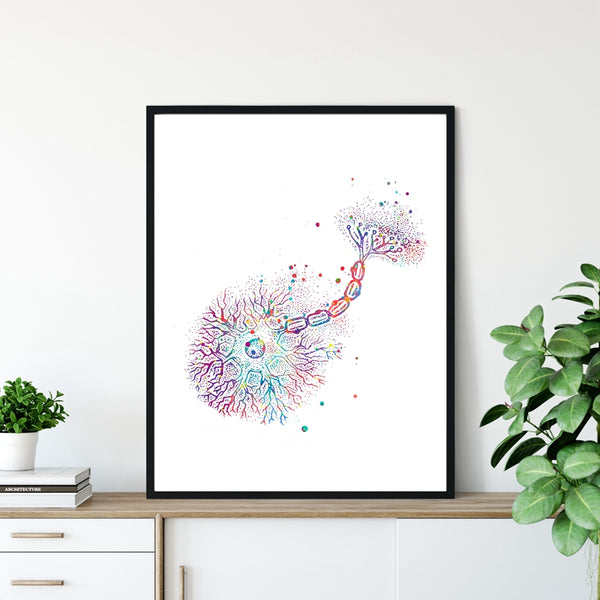 Watercolour Neuron - Brain Anatomy Canvas Wall Art Print - Psych Outlet