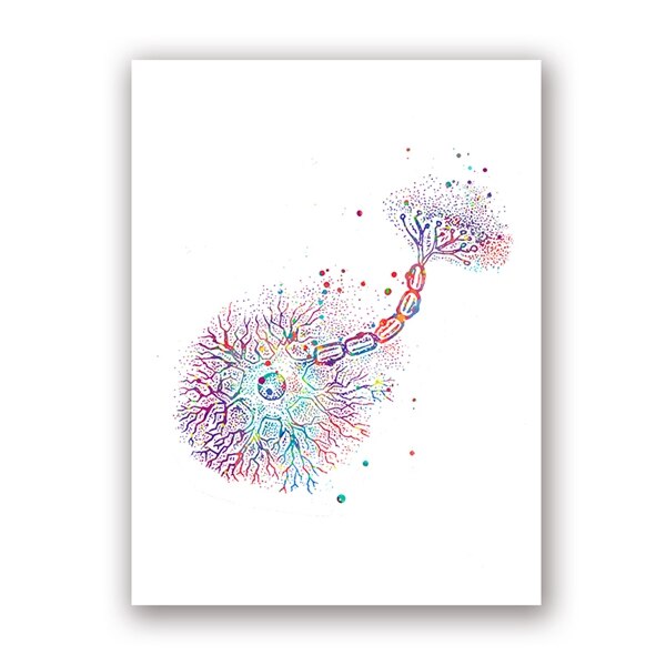 Watercolour Neuron - Brain Anatomy Canvas Wall Art Print - Psych Outlet