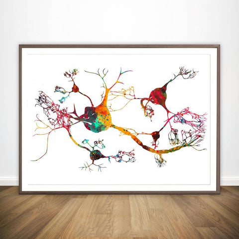 Neurons And Nervous System Wall Print - Psych Outlet