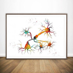 Neurons And Nervous System Wall Print - Psych Outlet