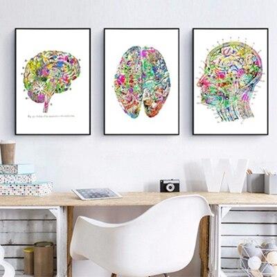 Colourful Brain Anatomy - Canvas Wall Art Print - Psych Outlet
