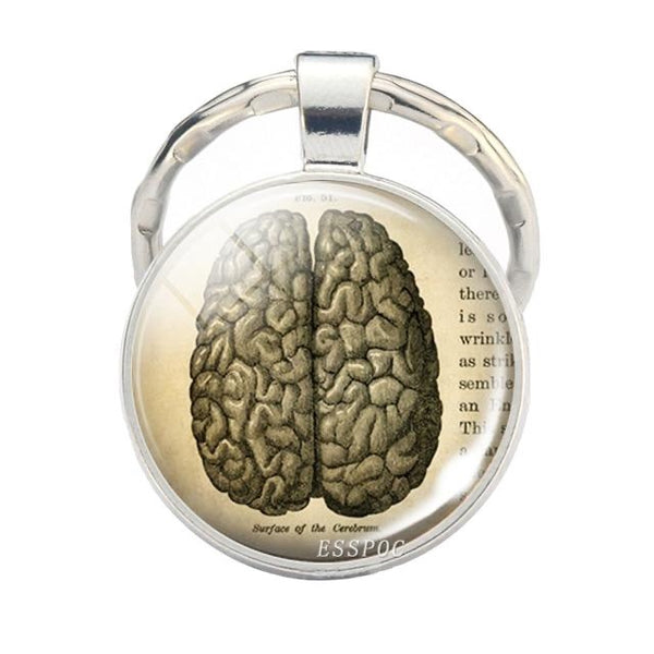 Vintage Style Brain Keychain - 4 Designs - Psych Outlet