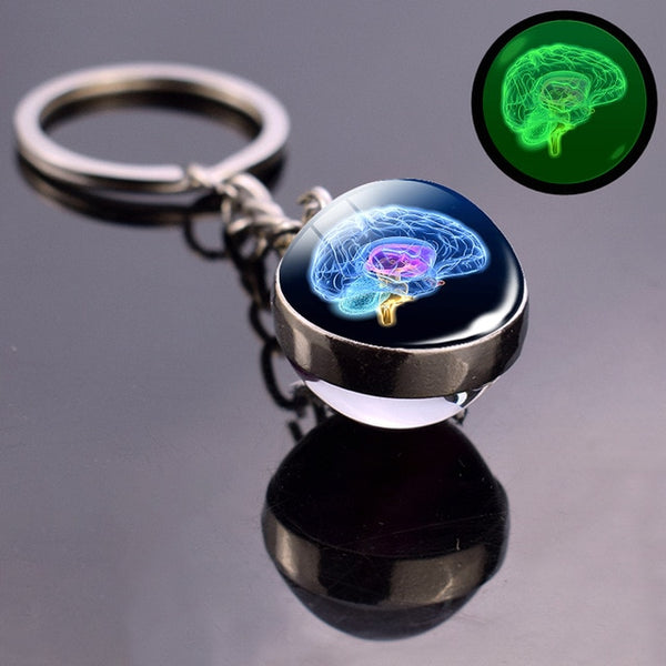 Glowing Brain Anatomy Keychain - 8 Designs - Psych Outlet