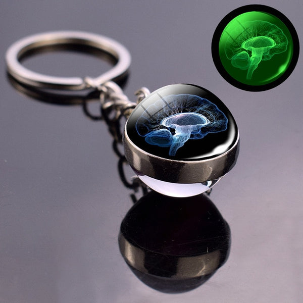 Glowing Brain Anatomy Keychain - 8 Designs - Psych Outlet