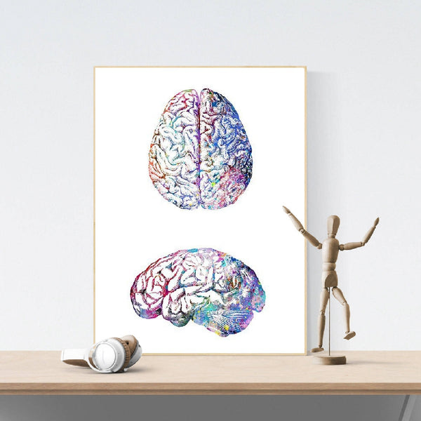 Watercolor Human Brain Anatomy - Canvas Wall Art Print - Psych Outlet