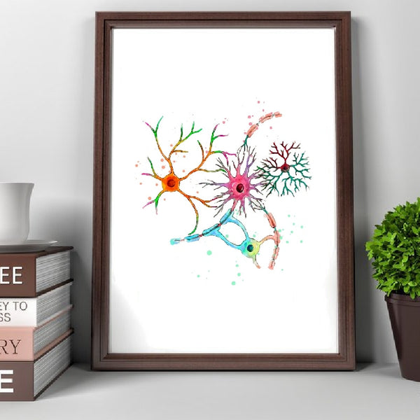 Watercolor Brain Neuron Anatomy - Wall Art Canvas Print - Psych Outlet