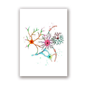 Watercolor Brain Neuron Anatomy - Wall Art Canvas Print - Psych Outlet